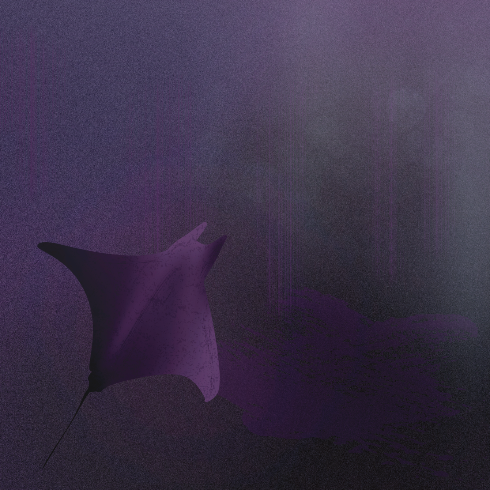 Manta